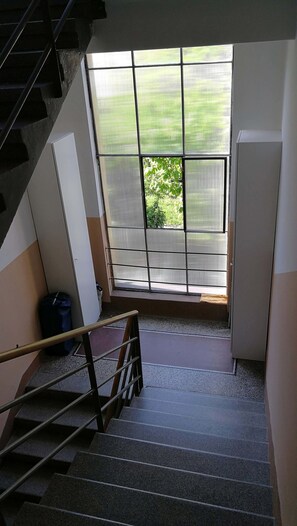 Eine Treppe mit Metallhandlauf, ein Fenster mit Blick auf Grün und eine weiße Tür.