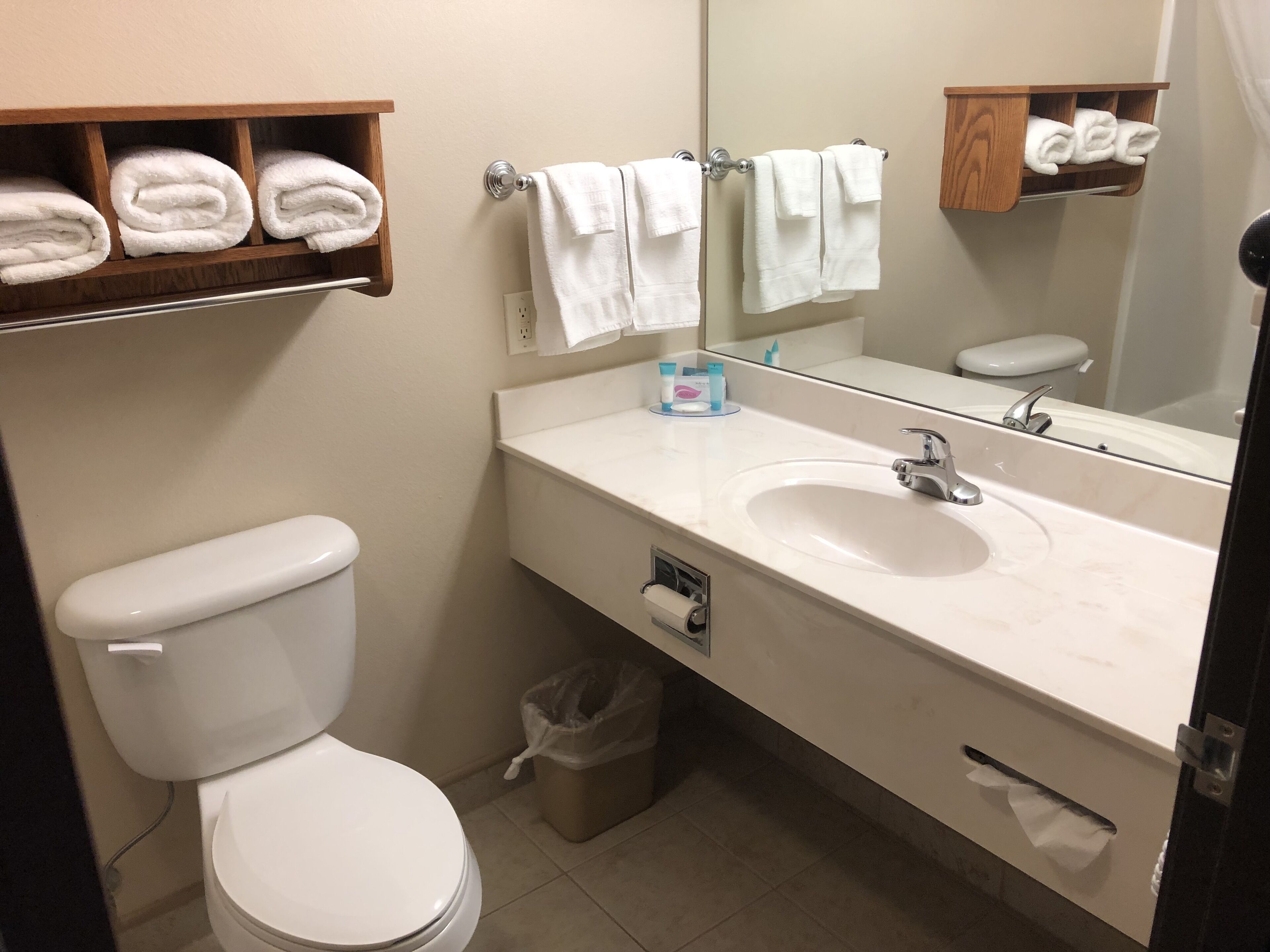 executive room, 1 king bed, non smoking, jetted tub | bathroom | combined shower/bathtub, towels