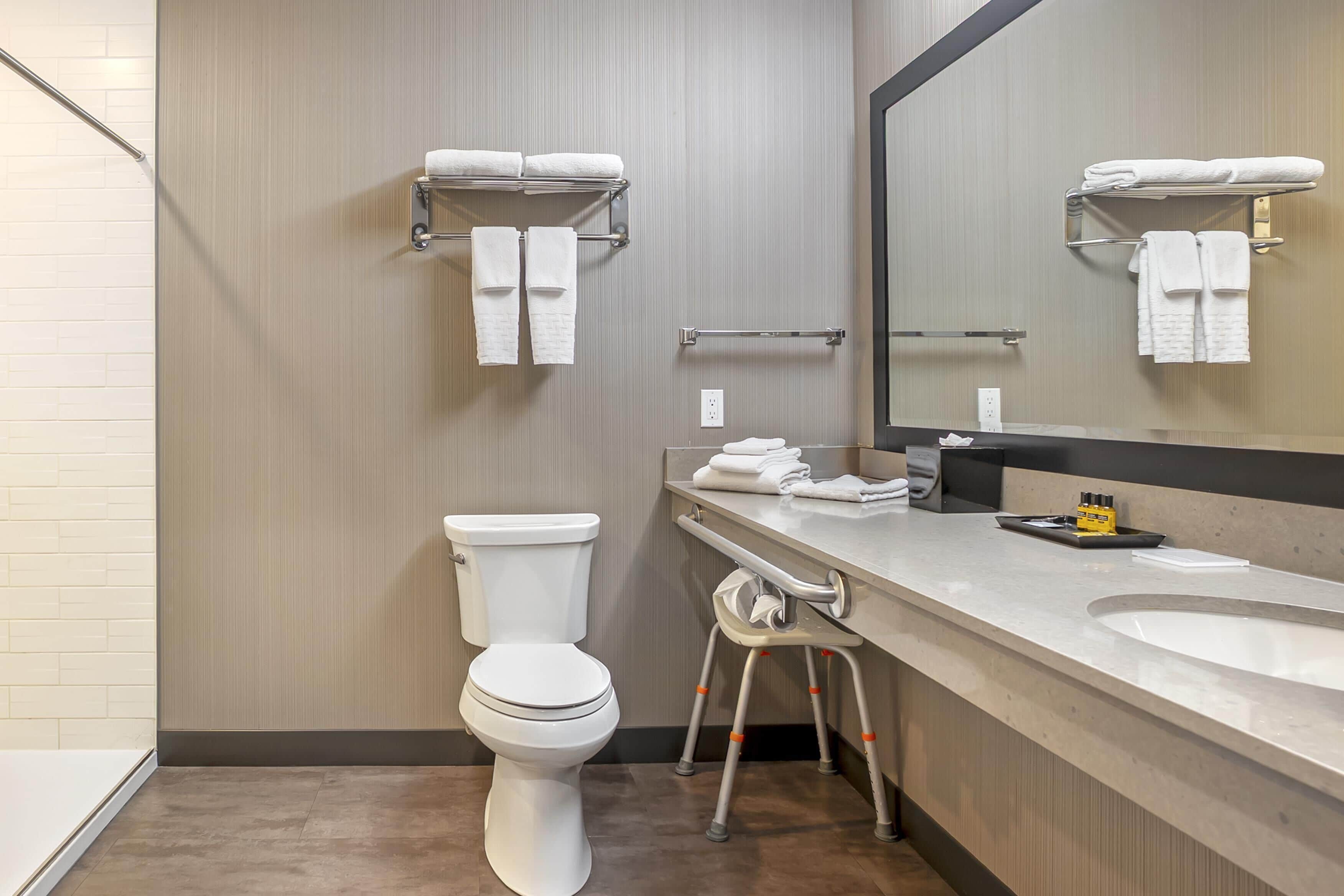 standard room, 1 king bed, accessible, non smoking (walk-in shower) | bathroom | free toiletries, hair dryer, towels