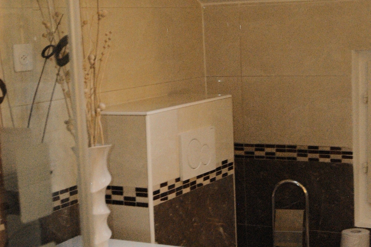A bathroom with a toilet, a sink, and a mirror.