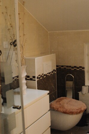 A bathroom with a toilet, a sink, and a mirror.
