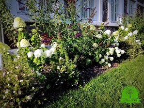 Khuôn viên nơi lưu trú