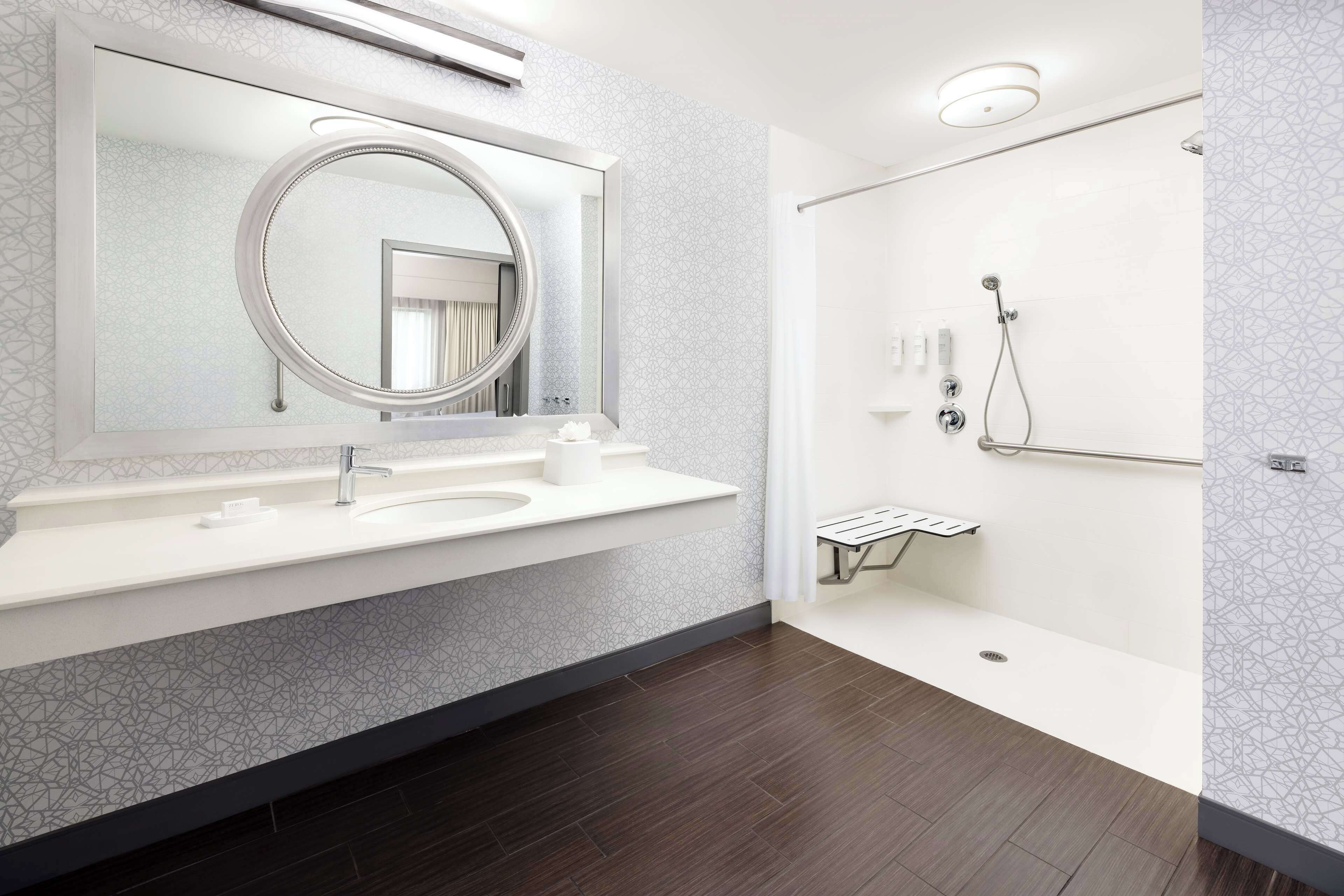 room, 1 king bed, accessible, non smoking (roll in shower) | bathroom shower