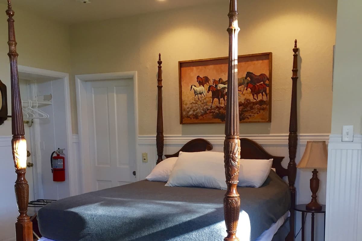 Suite, 1 Queen Bed