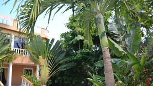 A poolside area with a clear blue pool, palm trees, and a building with a balcony. - Apartments with Balcony in the Villa, Pool (Sosúa)