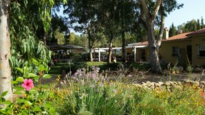 A garden with a variety of flowers and trees, a covered outdoor seating area, and a building with a tiled roof. - Camping Flumendosa (Pula)