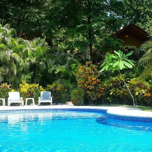 Outdoor pool, open 8:00 AM to 10:00 PM, pool loungers