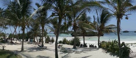Een privéstrand, ligstoelen aan het strand, parasols, strandlakens
