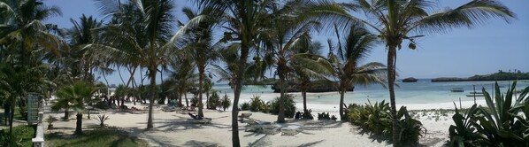 Private beach, sun loungers, beach umbrellas, beach towels - Watamu Palm Beach (Watamu)