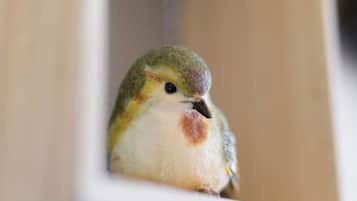 A bird with a yellow and green head, a white chest, and a brown patch on its neck peeking through a doorway.