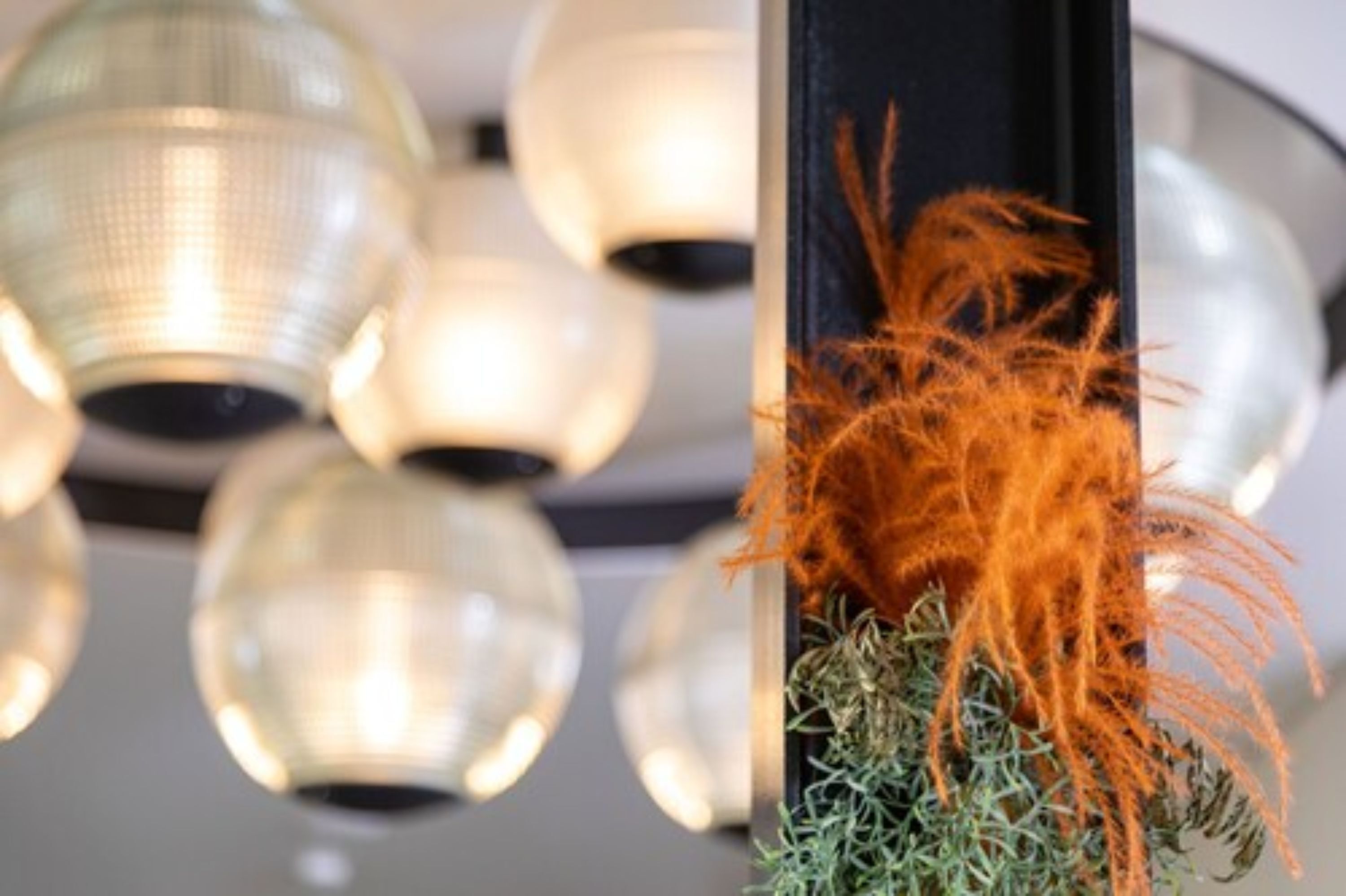 A modern interior with spherical pendant lights and a decorative plant arrangement.
