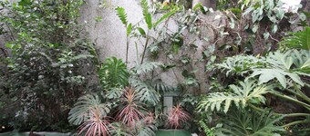 Gomide SP 21