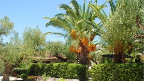 Jardín