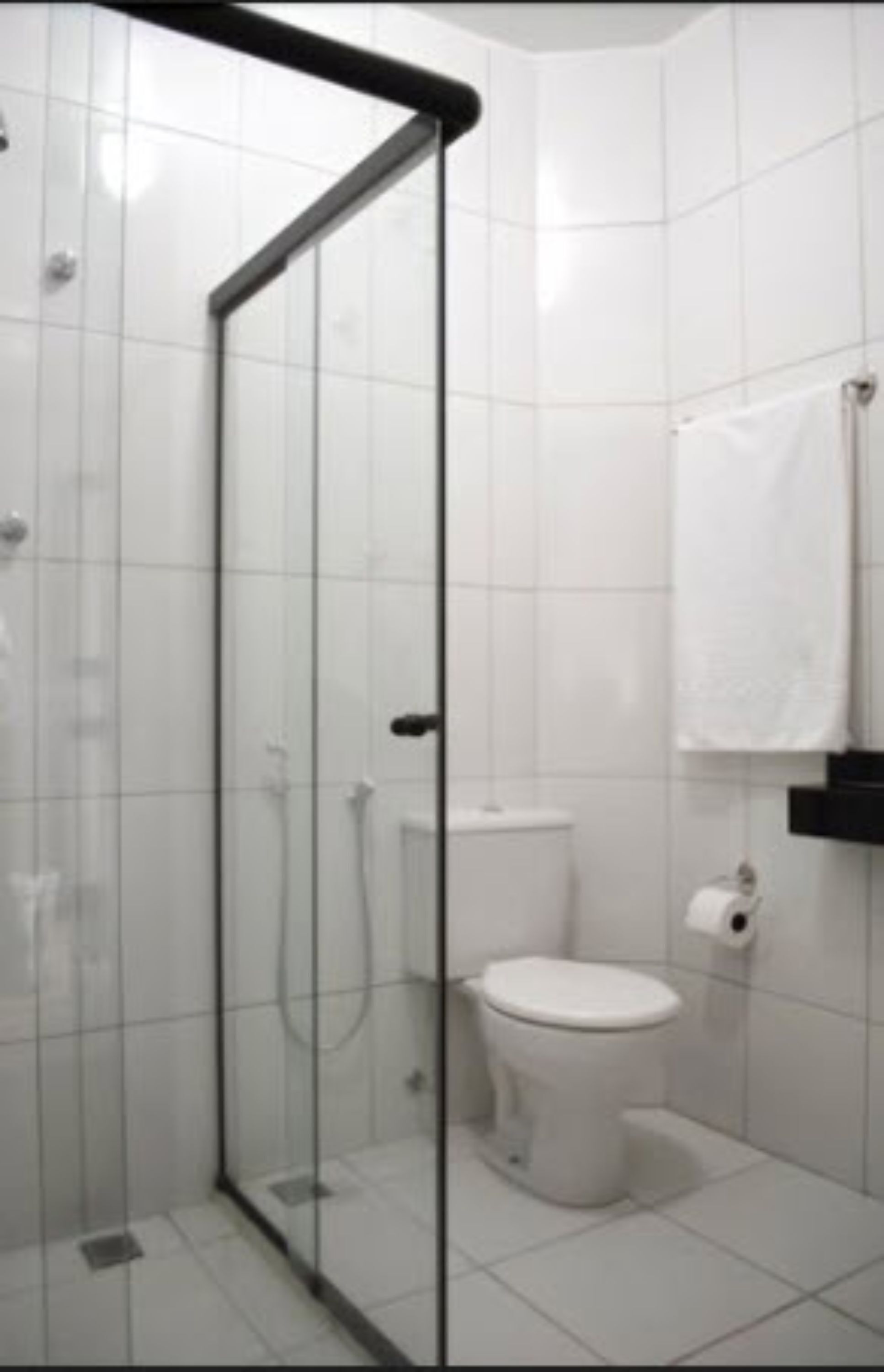Et badeværelse med glasvæg i brusekabinen, toilet og håndklædestang.