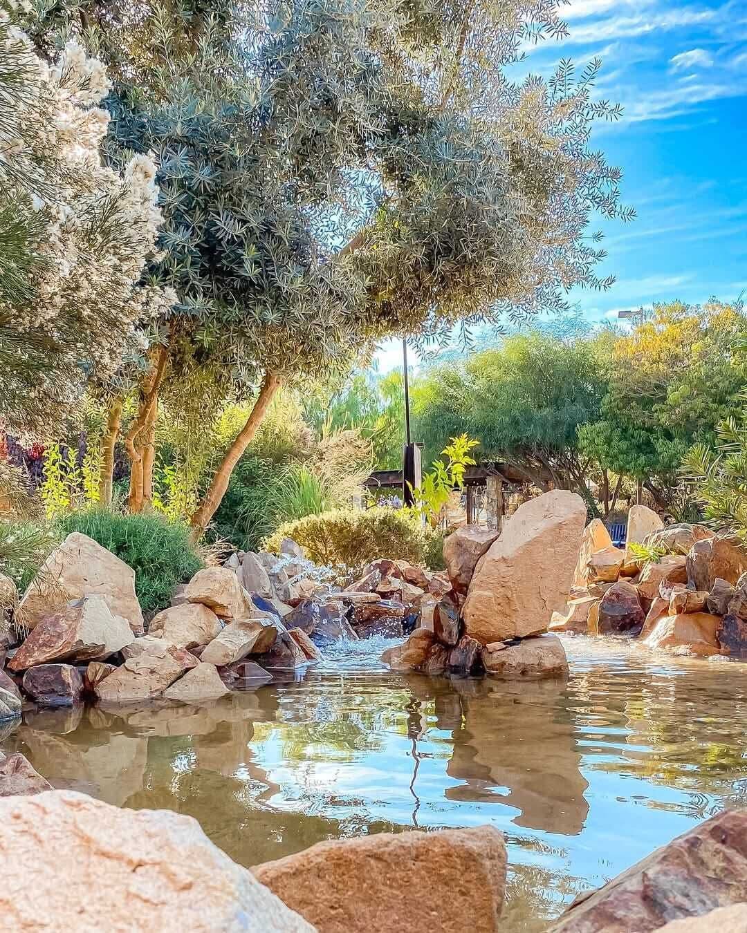 A garden with a small stream, large rocks, and various trees.