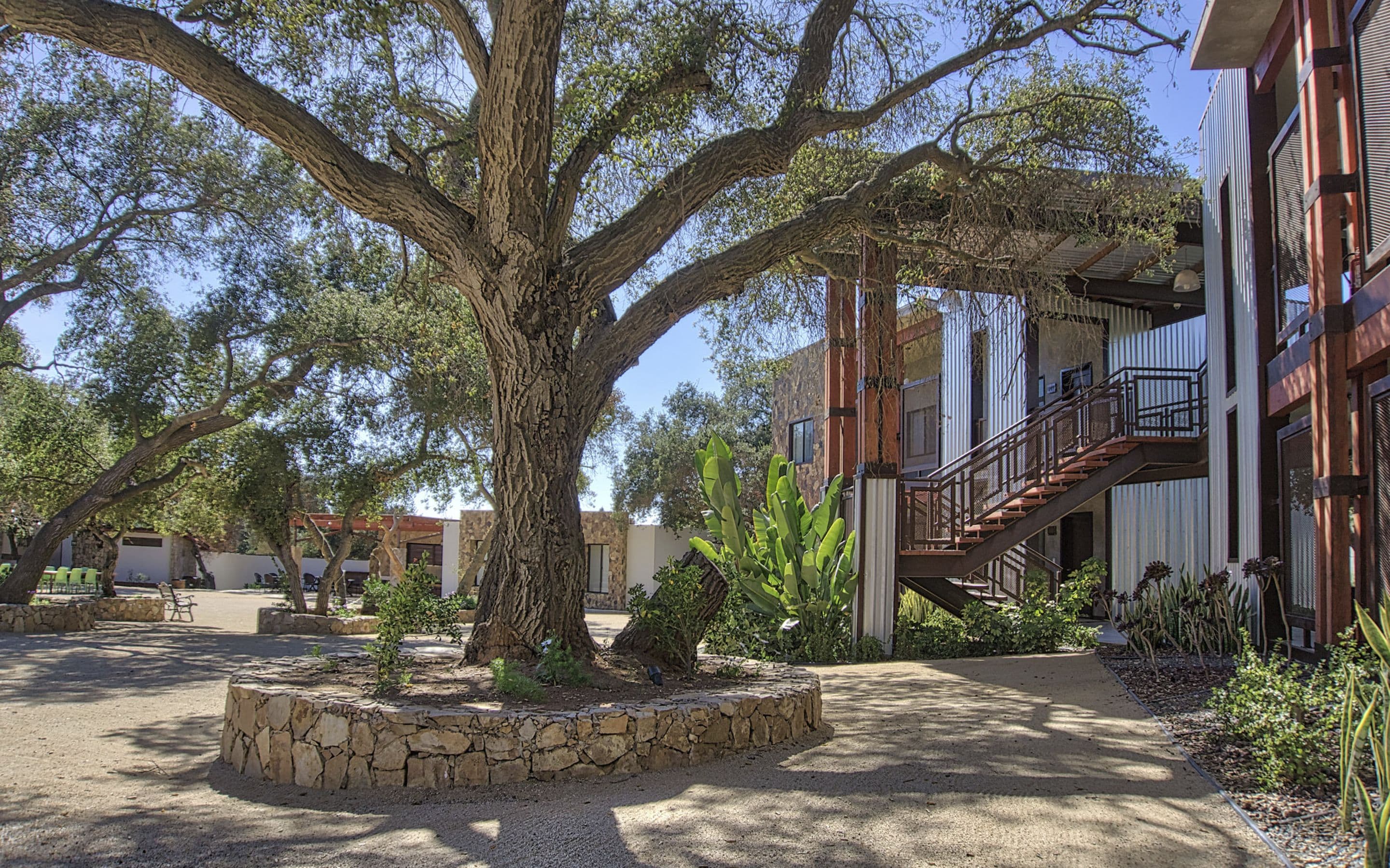 Une cour avec un grand arbre, un mur de pierre et un bâtiment doté d’un escalier.