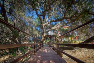 Junior Suite Encinal | Terraço/pátio