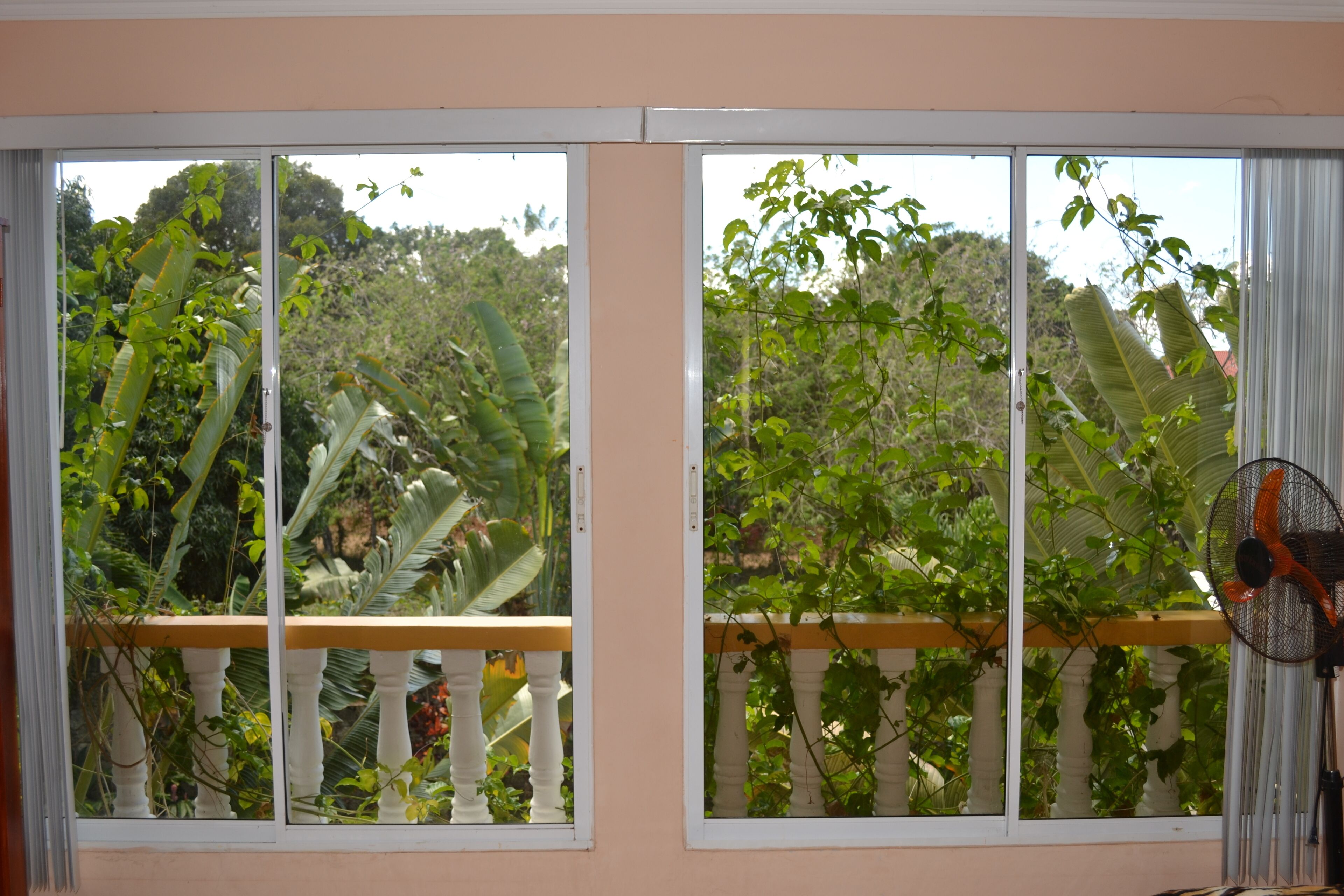 Una habitación con un ventanal grande dividido en tres partes, que ofrece vistas de exuberante vegetación al exterior.