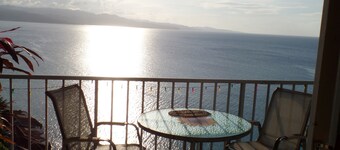 Coral Reef Beach Suite At Montego Bay Club Resort