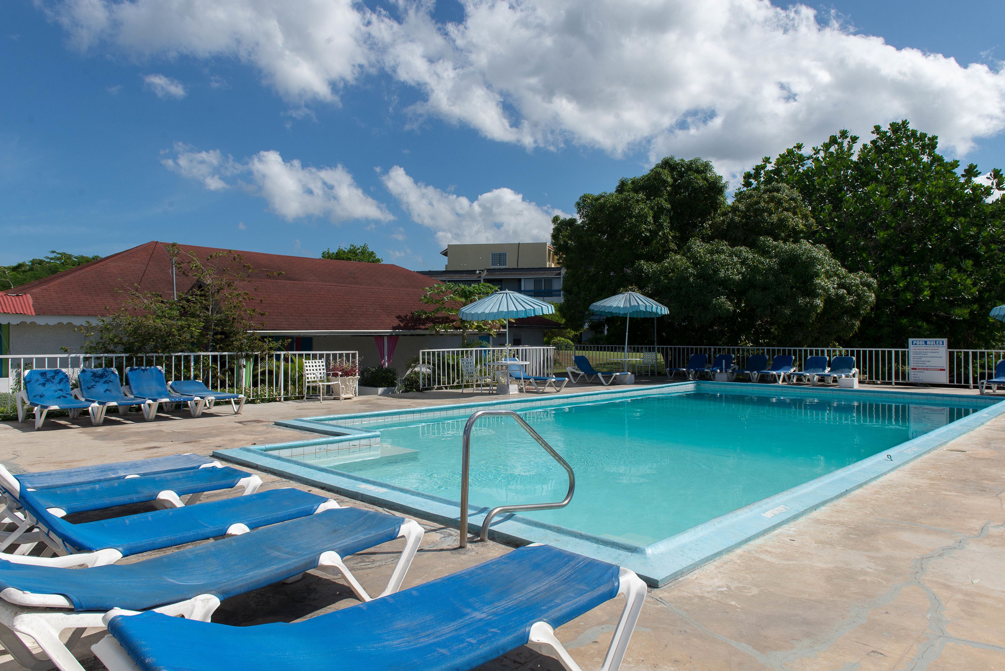 A swimming pool with lounge chairs and umbrellas, surrounded by trees and buildings.
