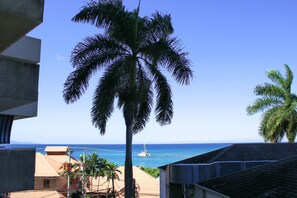 A view of a beach with a palm tree, a sailboat, and a clear blue sky. - Coral Reef Beach Suite At Montego Bay Club Resort (Montego Bay)