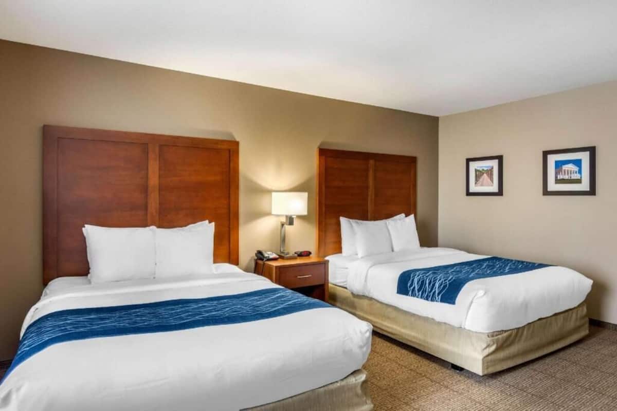 A hotel room with two beds, a nightstand, a lamp, and two framed pictures on the wall.