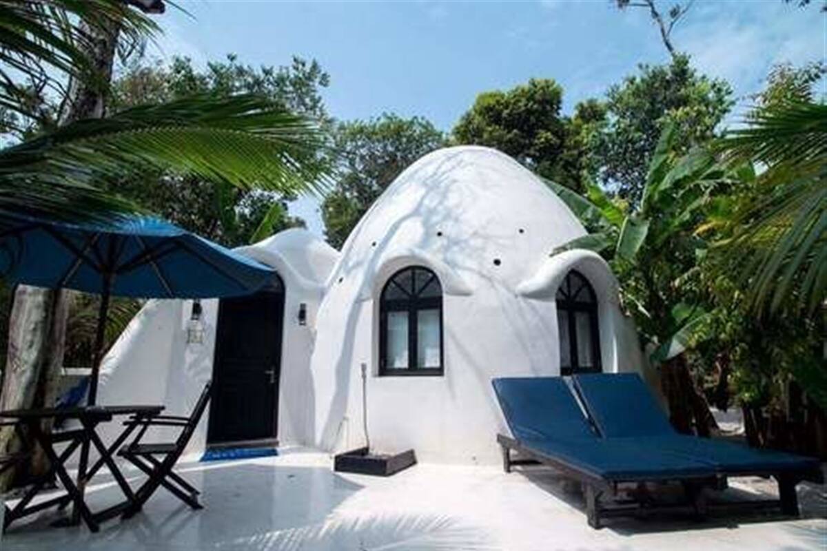 Dome Room | View from room