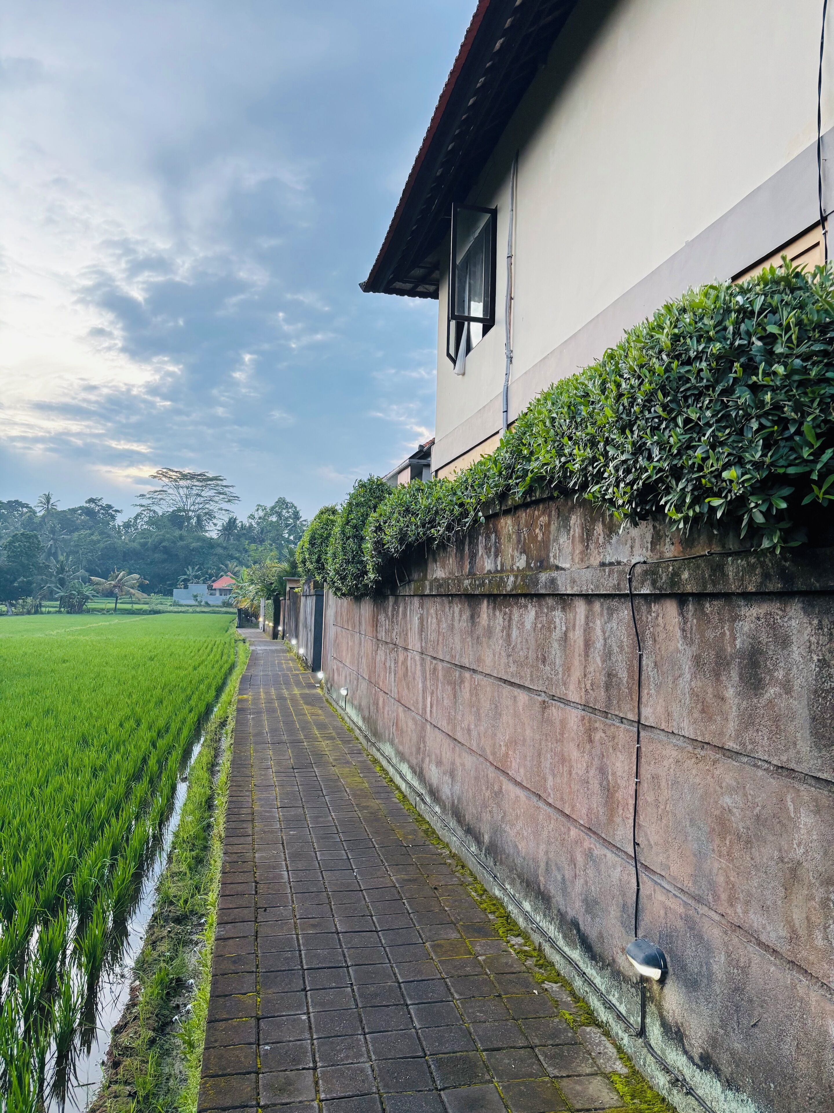 A pathway beside a building with a stone wall and a green field.