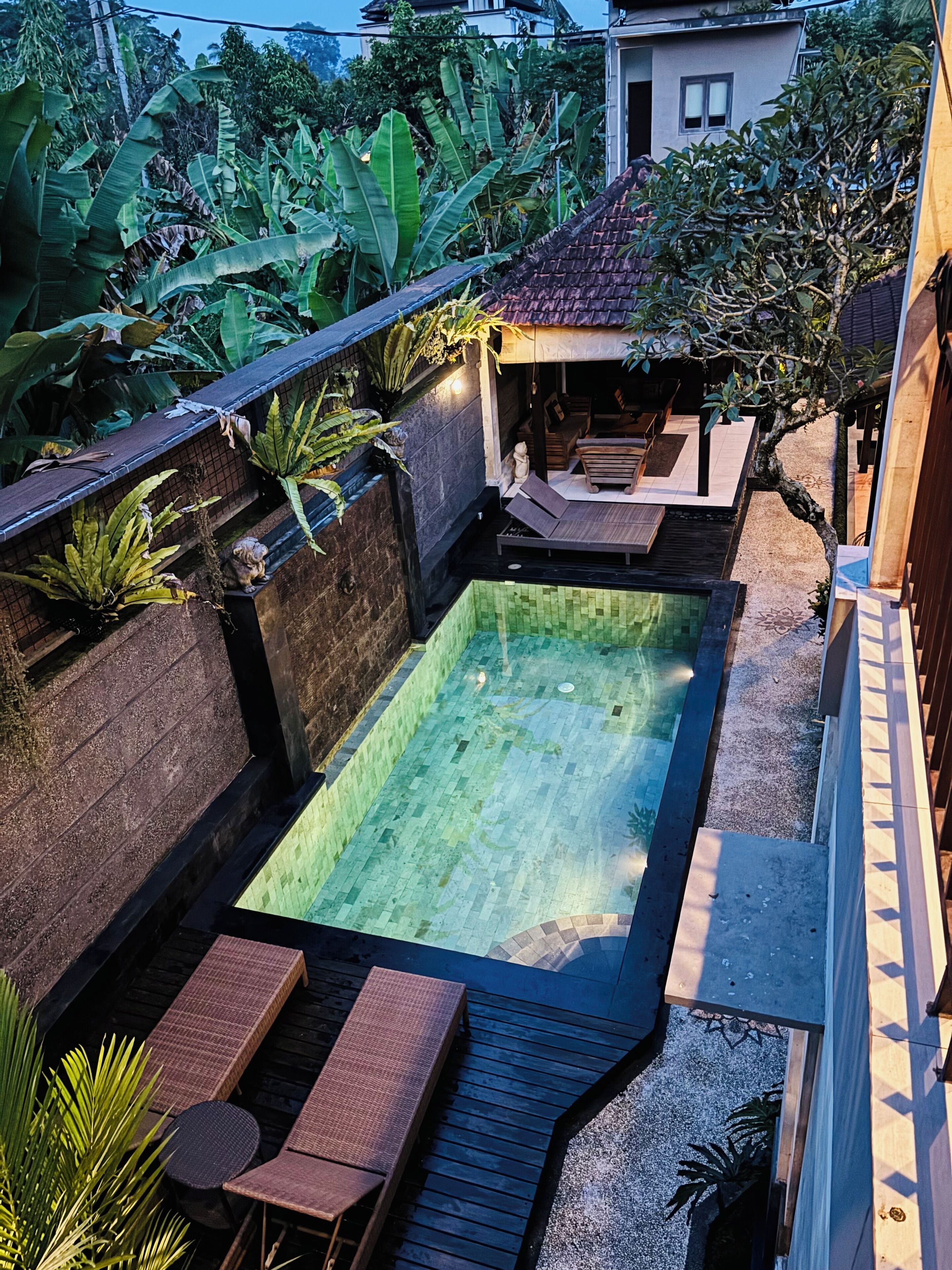 A rectangular swimming pool with a tiled deck, surrounded by a low stone wall and lush tropical plants.
