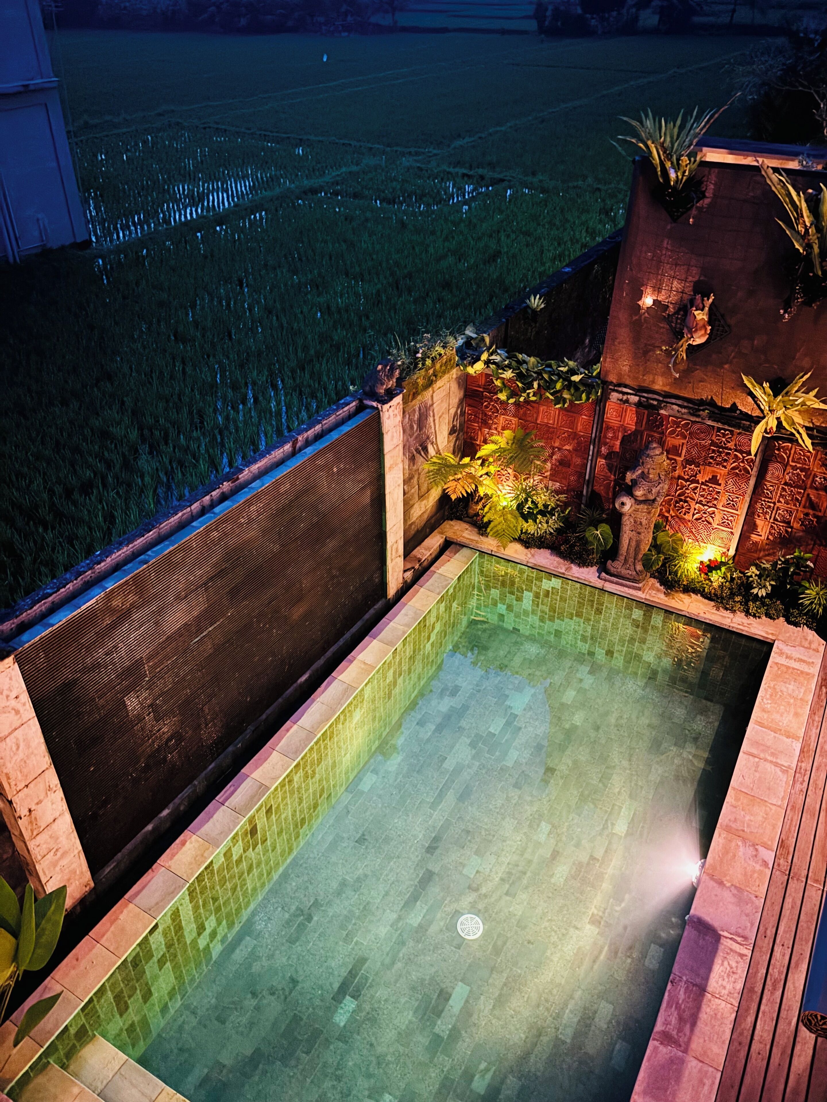 Ein rechteckiger Swimmingpool mit gefliesten Rändern, umgeben von einer Holzterrasse und einer niedrigen Mauer mit Zierpflanzen sowie einer Wand mit Musterung.