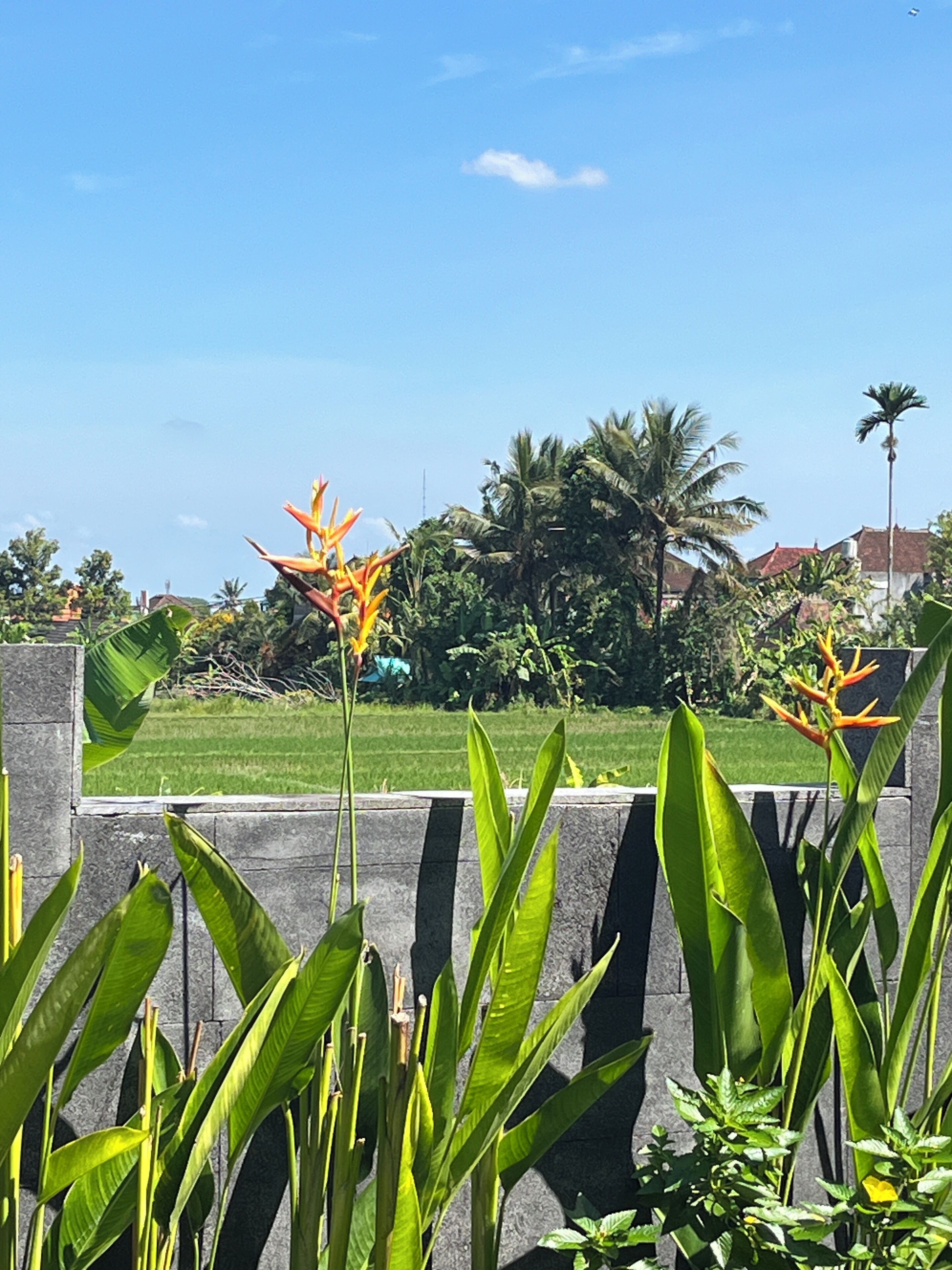 Pemandangan dari hartanah