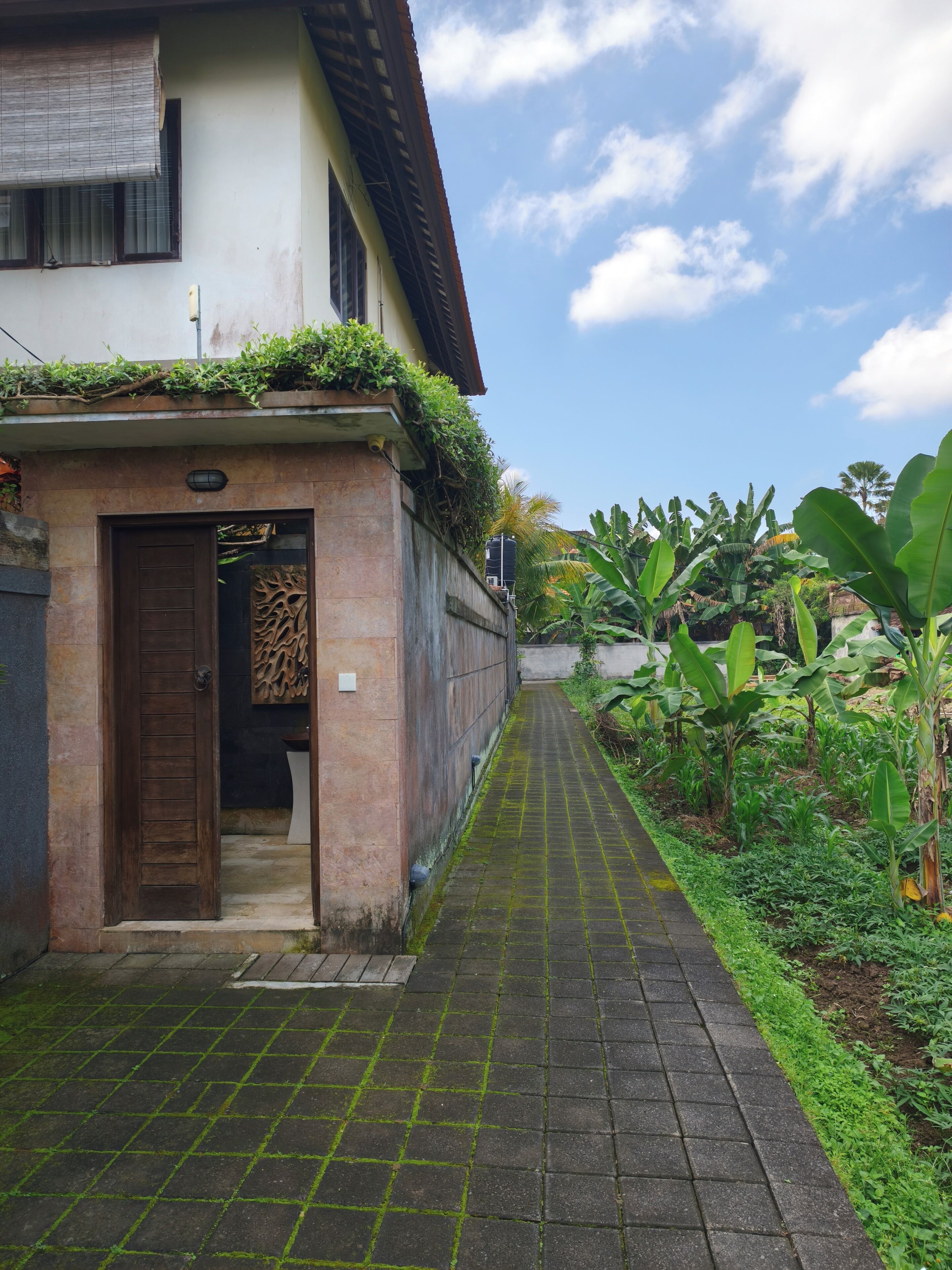 A pathway leading to a building with a door and a small garden area with plants.