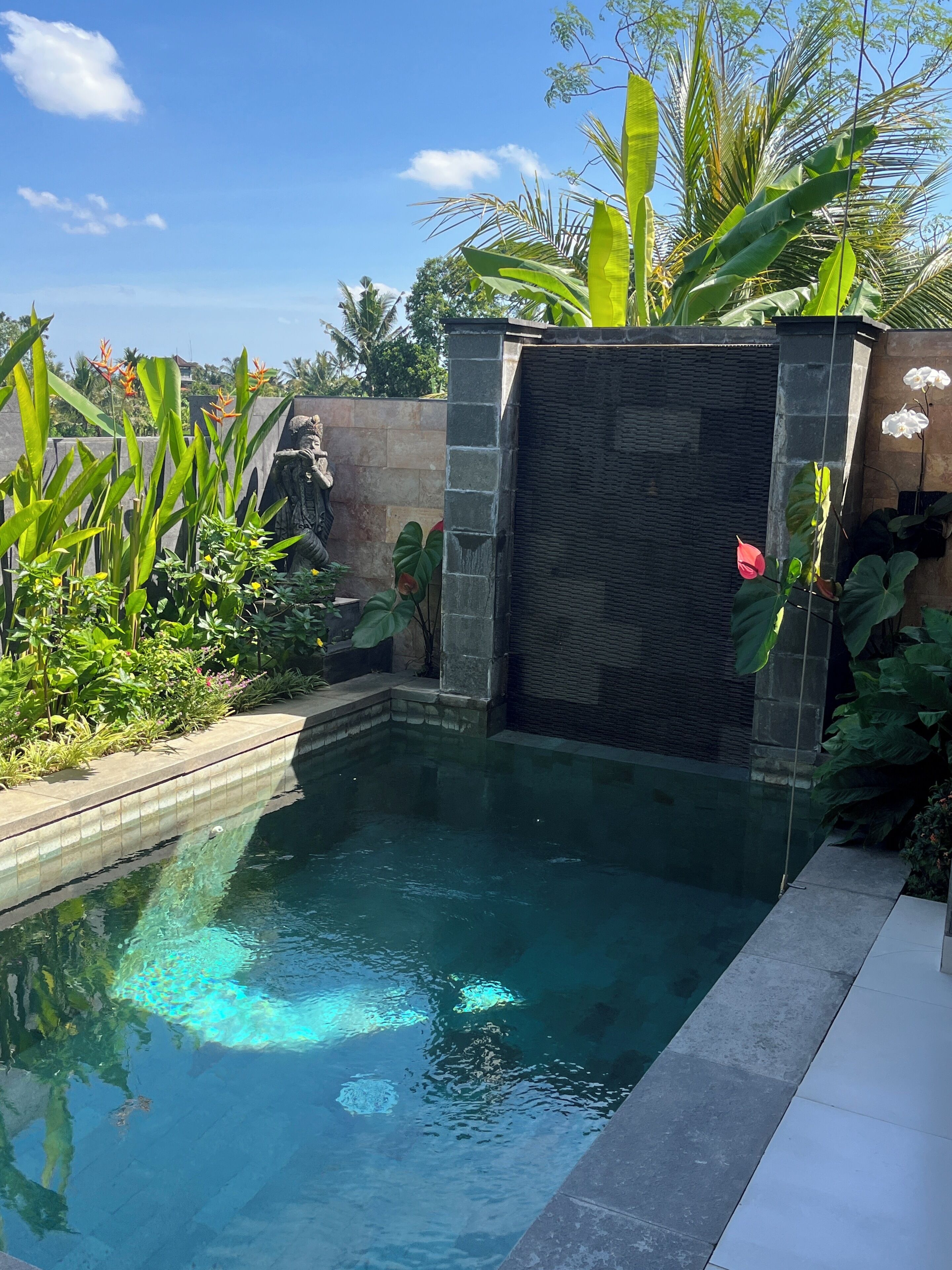 A swimming pool with clear water, surrounded by greenery and a stone wall.