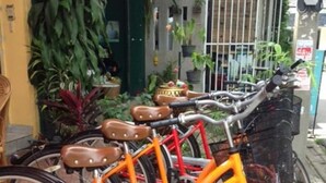 A row of bicycles parked on a tiled patio with plants and a building in the background. - Just Chill Inn - Hostel (Chiang Mai)