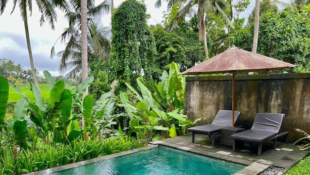 Una piscina rectangular con dos sillas de descanso y una sombrilla pequeña, rodeada de exuberante vegetación y palmeras.