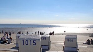 Una playa con cabañas de playa numeradas y una vista despejada del océano.