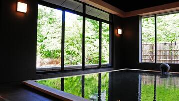 Una piscina interior moderna con amplias ventanas, vistas despejadas a zonas verdes exteriores y una zona de terraza de madera.