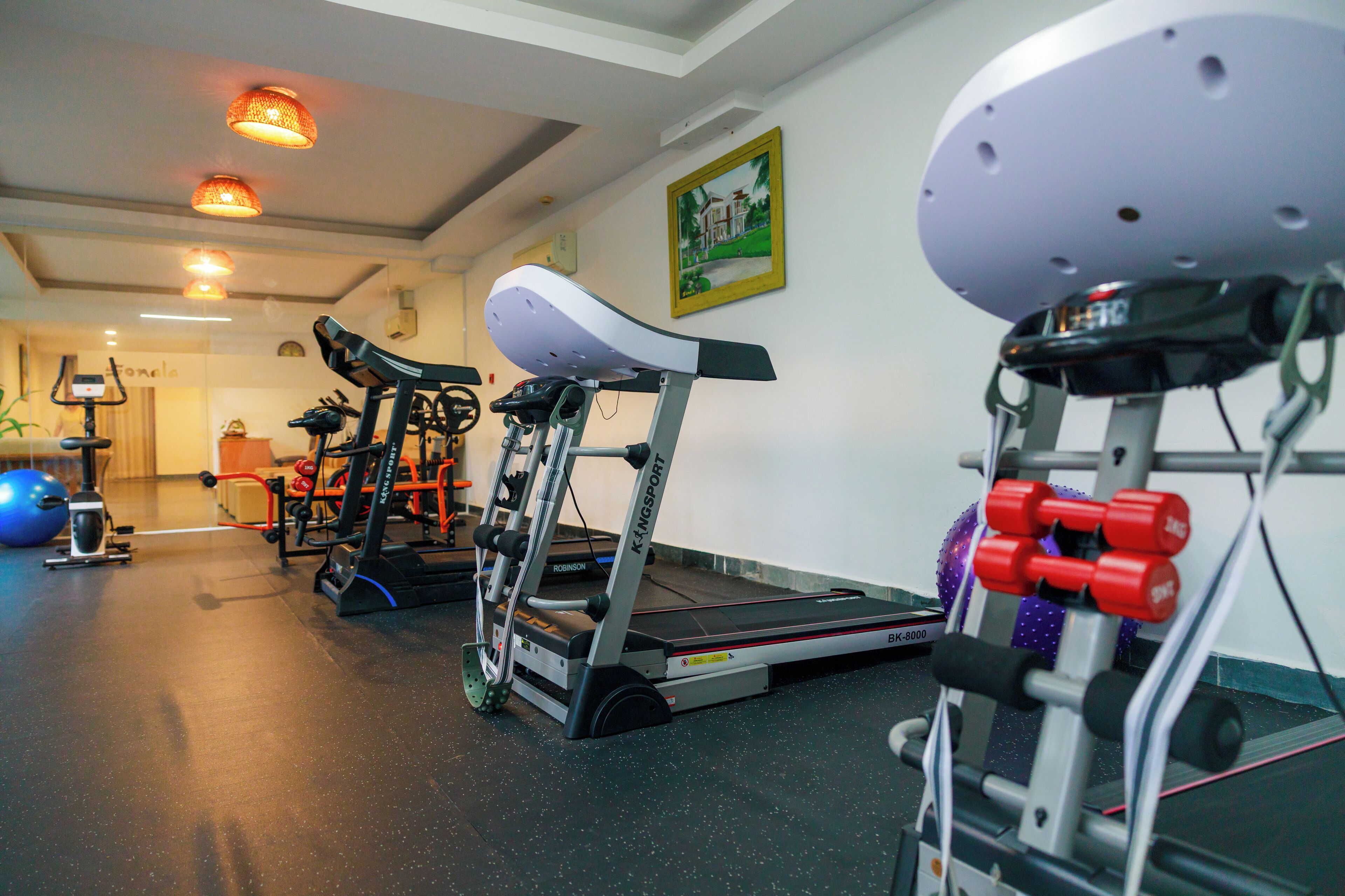 A gym with treadmills, a stationary bike, and weightlifting equipment.