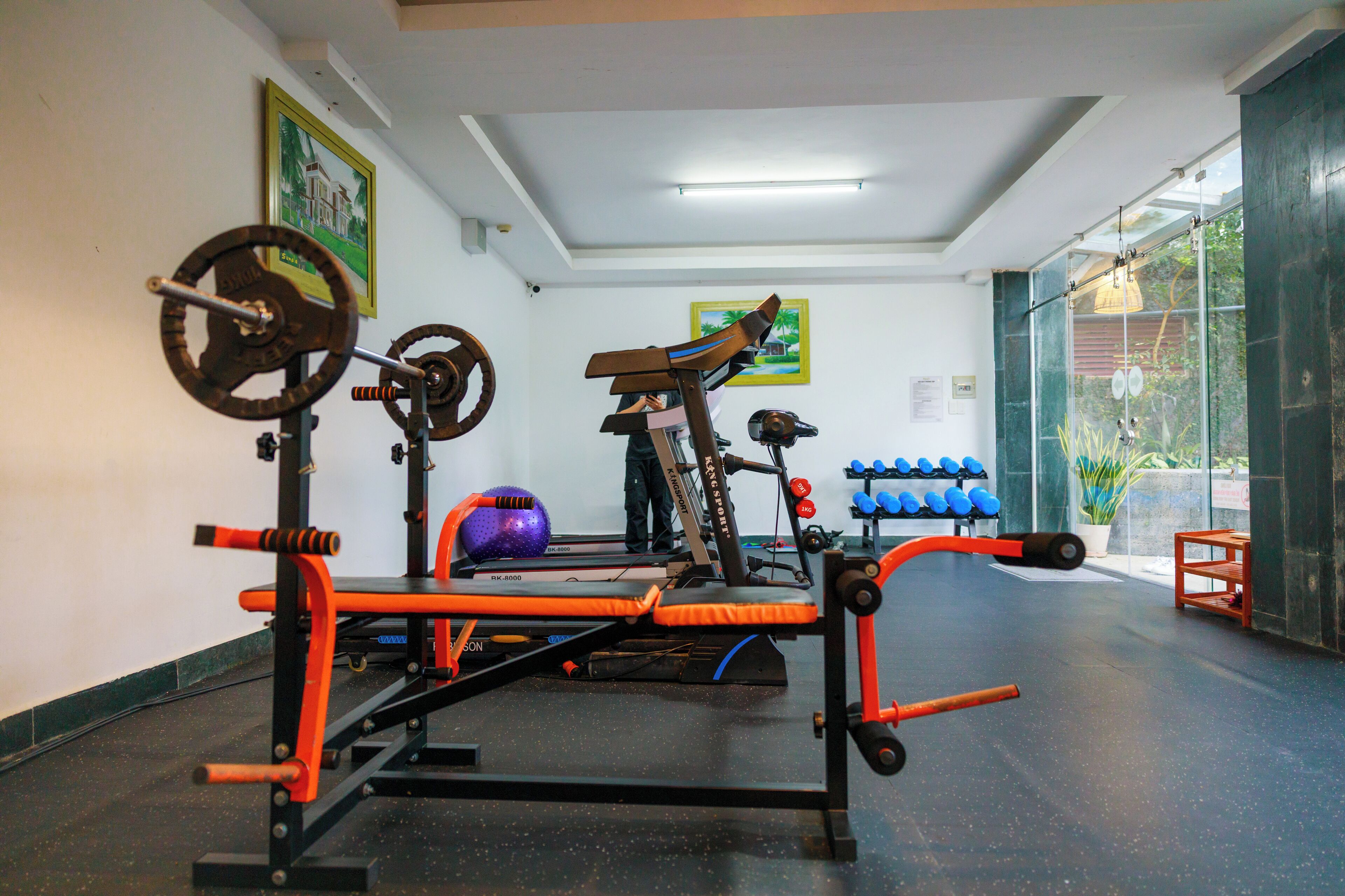 A gym with exercise equipment, a weight bench, and a wall-mounted rack.