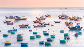 A harbor filled with numerous small boats, some with flags, indicating a busy fishing area.
