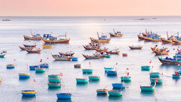靠近海滩、帆板运动