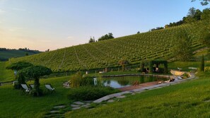 Jardín