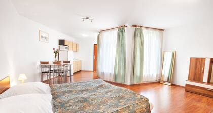 Apartment House Zizkov