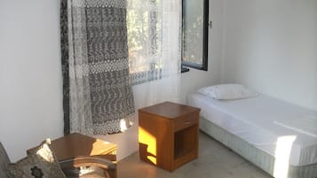 Habitación individual, baño privado | Caja de seguridad en la habitación, insonorización y wifi gratis
