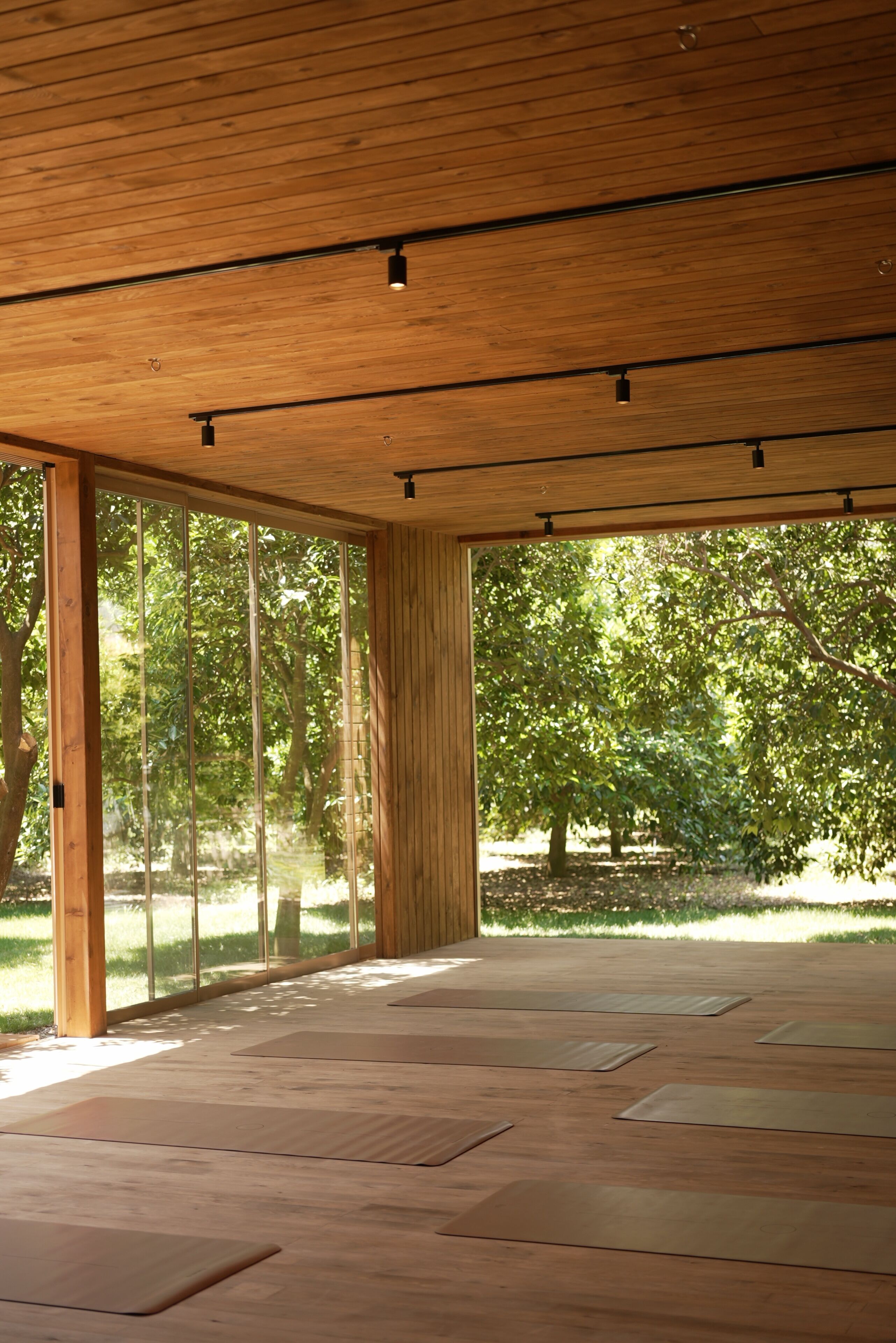 A spacious room with wooden flooring and large windows, offering a view of trees and greenery outside.