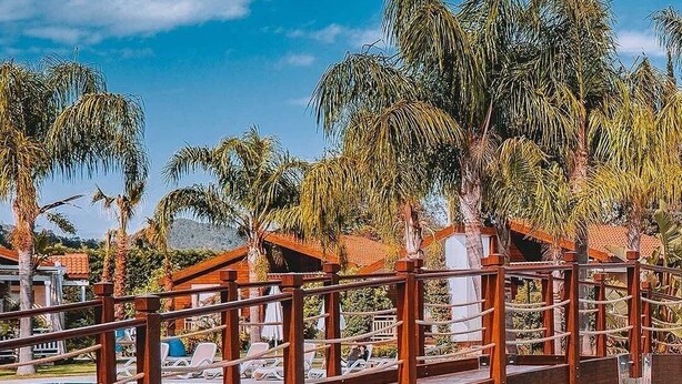 Zona de piscina amb baranes de fusta i gandules, envoltada de palmeres.