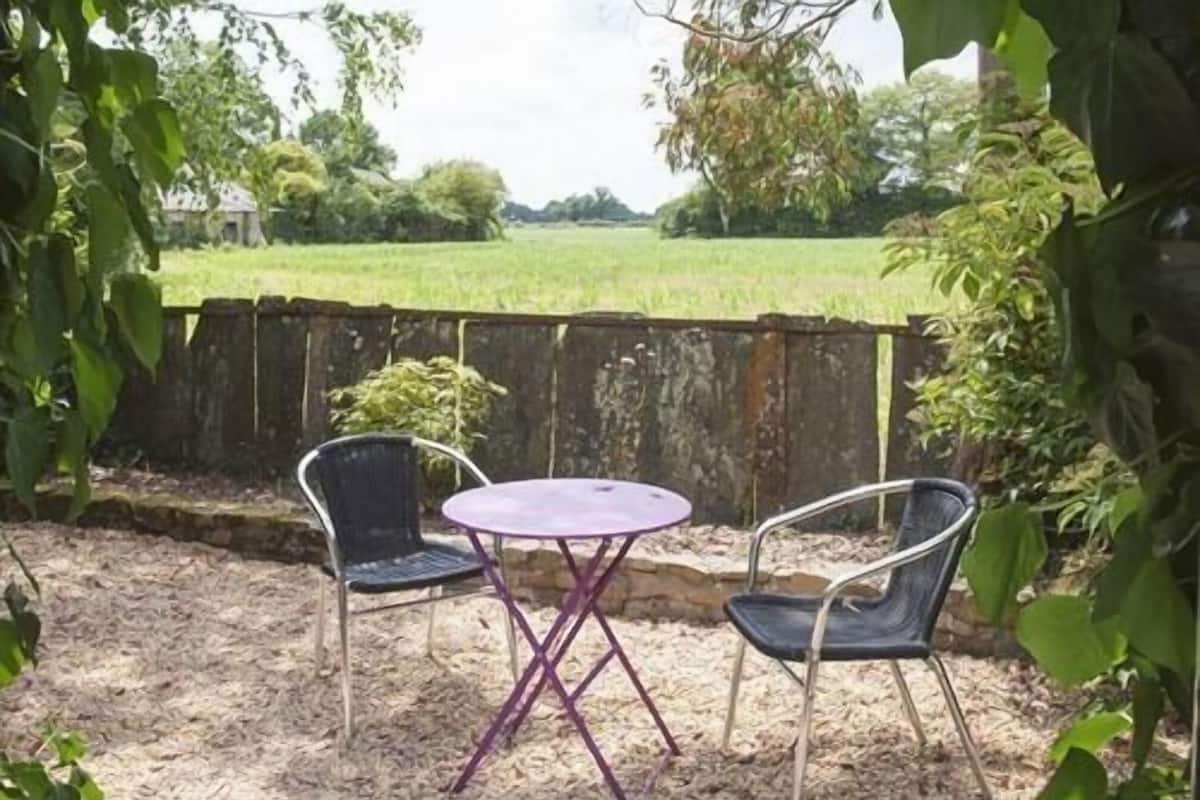 An outdoor seating area with two chairs and a table, surrounded by a wooden fence and greenery.