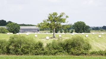 Een landelijk landschap met een schuur, hooibalen en een boom op de voorgrond.