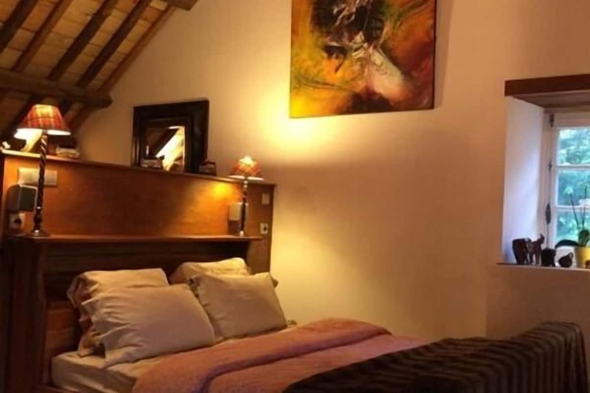 Suite Deluxe, bagno in camera (Spa) | 1 camera, biancheria in cotone egiziano