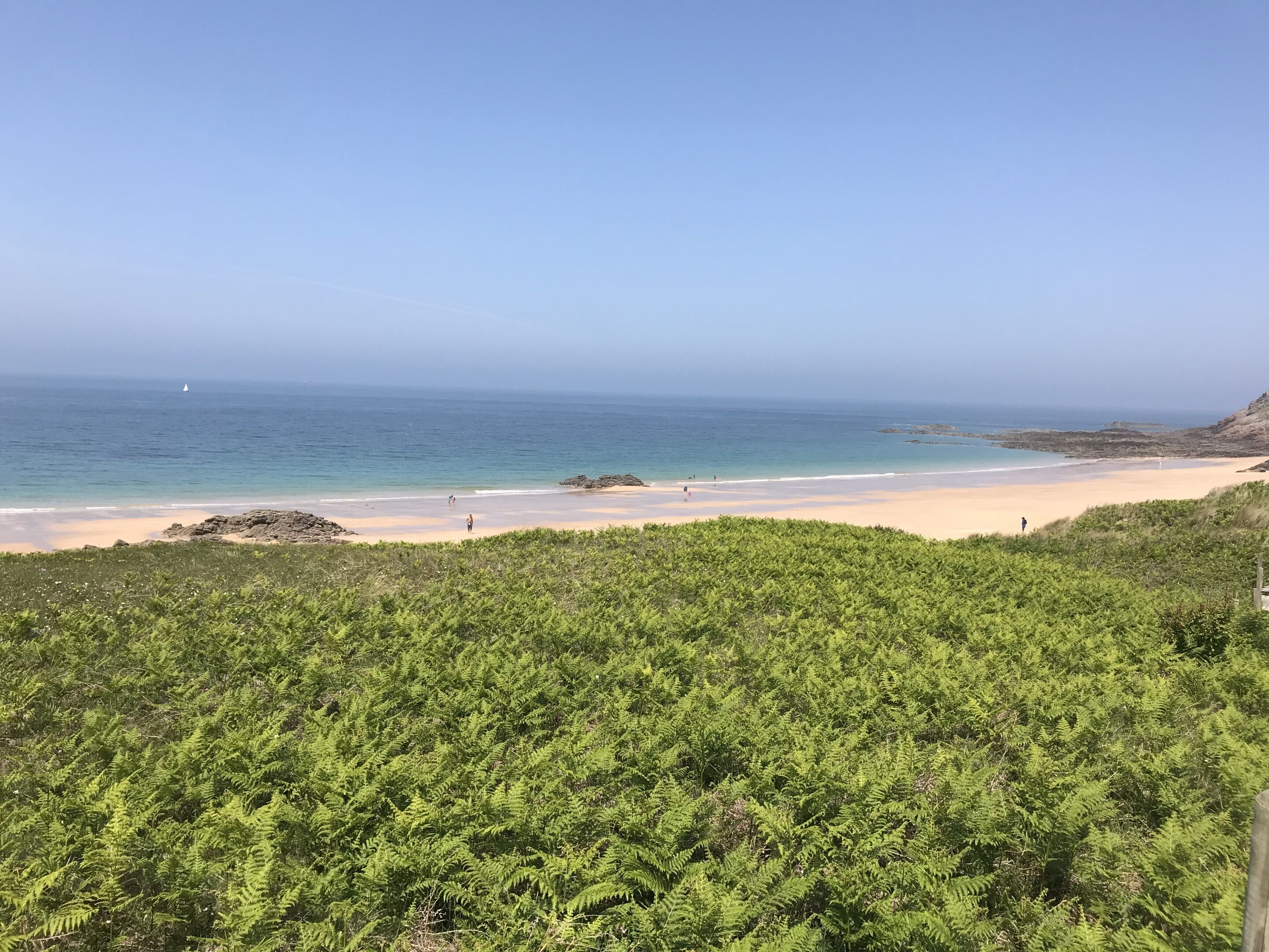 A beach with clear skies, a sandy shore, and dense green vegetation in the foreground.